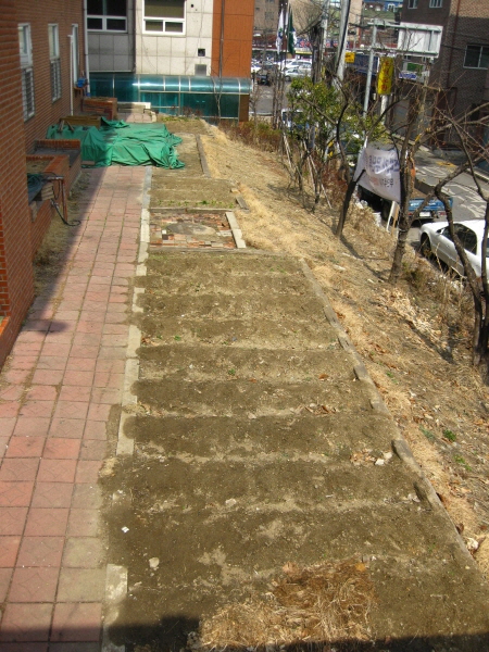 10.하자 후문 텃밭.JPG