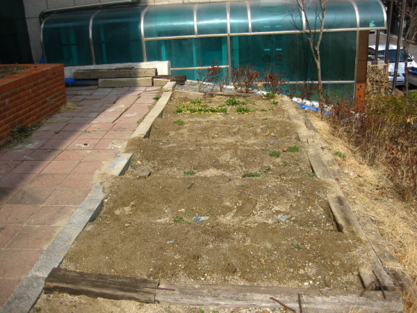 11.하자 후문 텃밭.JPG