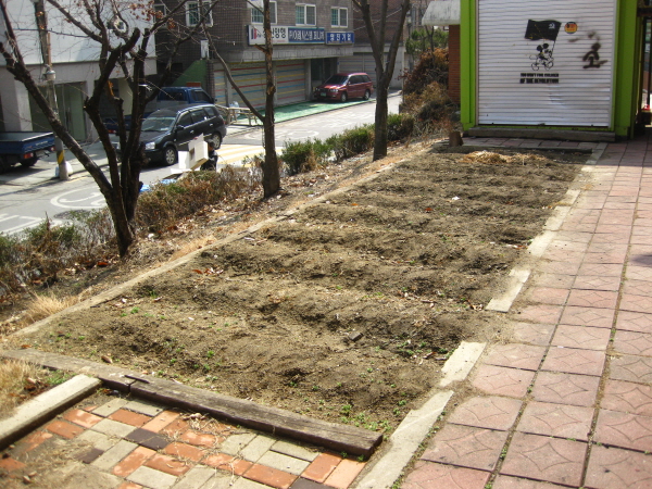 12.하자 후문 텃밭.JPG