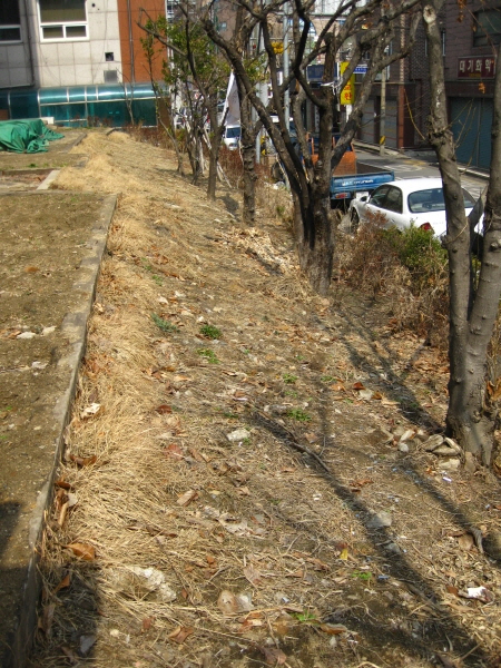 16.하자 후문 공터.JPG