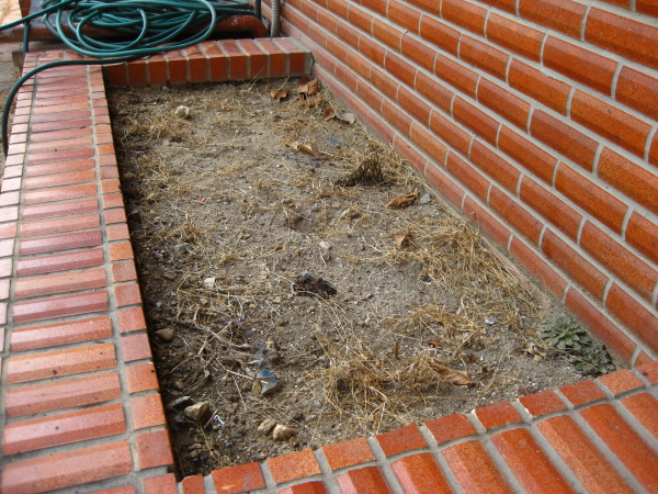 17.하자 후문 화단.JPG