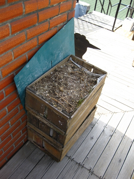 22.옥상농원 오가니 포니코.JPG