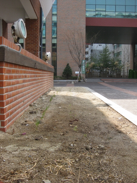 3. 하자 정문 텃밭.JPG